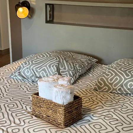 F3 Parking Gratuit Clim Port 5min Aeroport 10min Apartment *